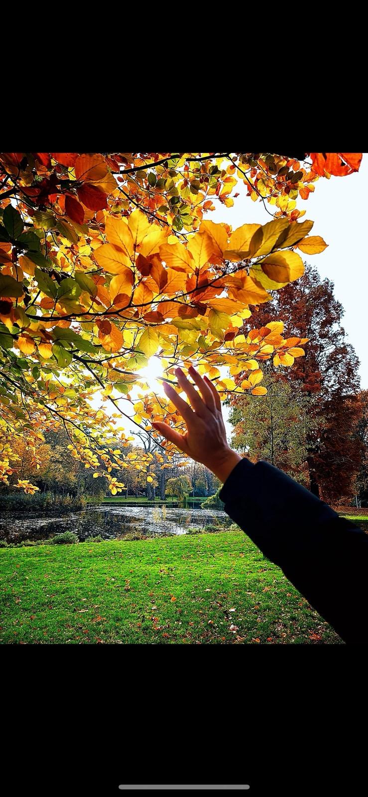 bewustwording_website